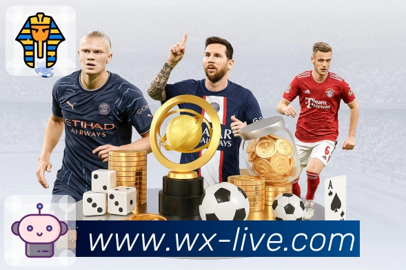 回放与复盘承接